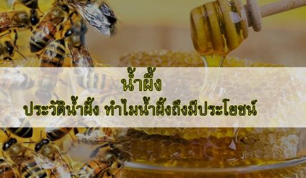 น้ำผึ้ง ประวัติน้ำผึ้ง ทำไมน้ำผึ้งถึงมีประโยชน์ อธิบายได้ ดังนี้